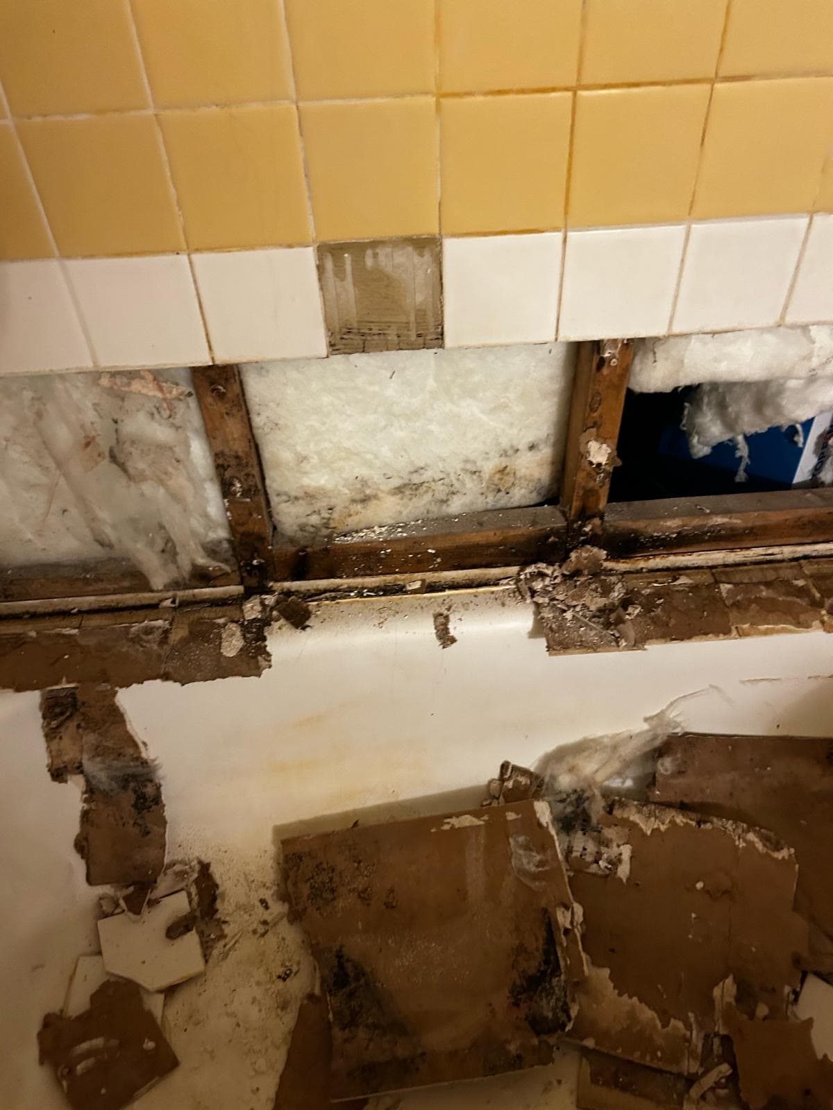 Bathroom Renovation — image 7
