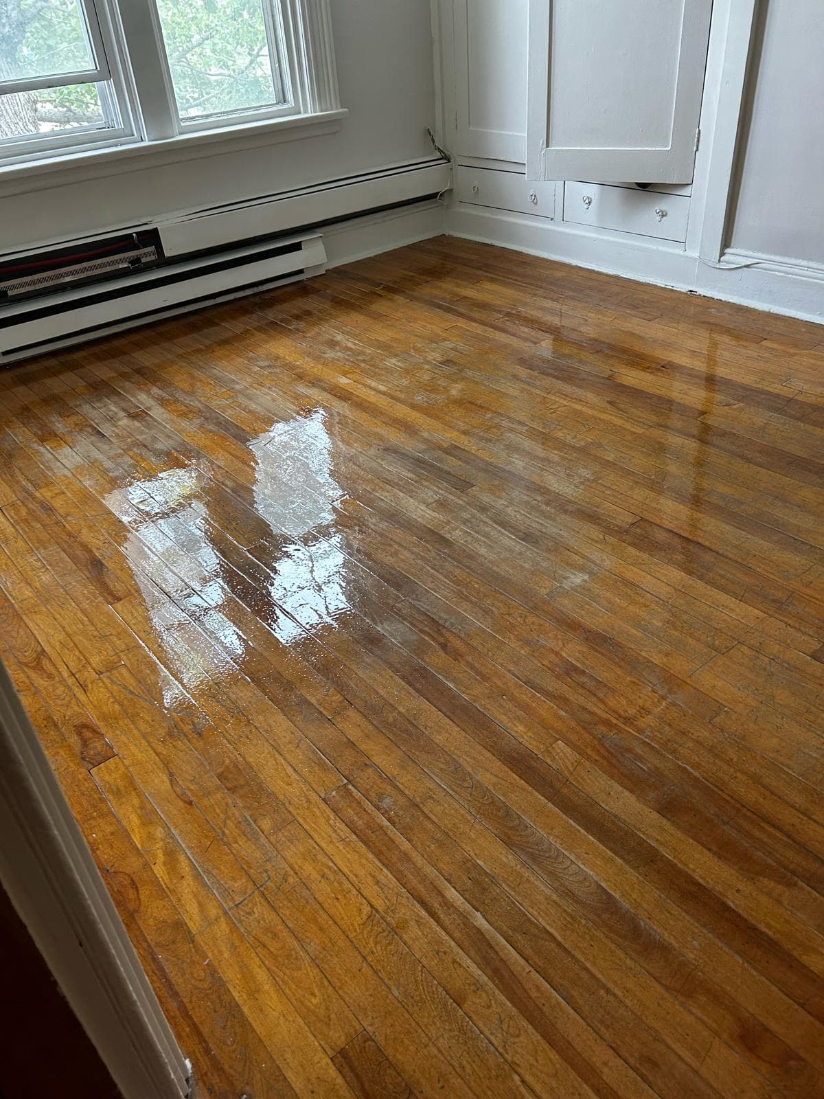 Modern Flooring Renovation — image 7